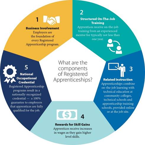 Diagram

What are the components of Registered Apprenticeship?

1. Business Involvement
Employers are the foundation of every Registered Apprenticeship as the apprentice employer and program designer.
2. Structured On-the-Job Training
Apprentices are paired with an experienced mentor journeyworker with at least 1 year ahead in training.
3. Related Instruction
Apprenticeships combine on-the-job learning with technical education at community colleges, technical schools and apprenticeship training schools, online, or at the job site.
4. Rewards for Skill Gains
Apprentices receive increases in wages as they attain higher skill, learning, and credential levels.
5. National Occupational Credential
Registered Apprenticeships result in a nationally recognized federal DOL credential based upon equitable nationwide skills. This is a guarantee an apprentice has completed a federally approved program.
